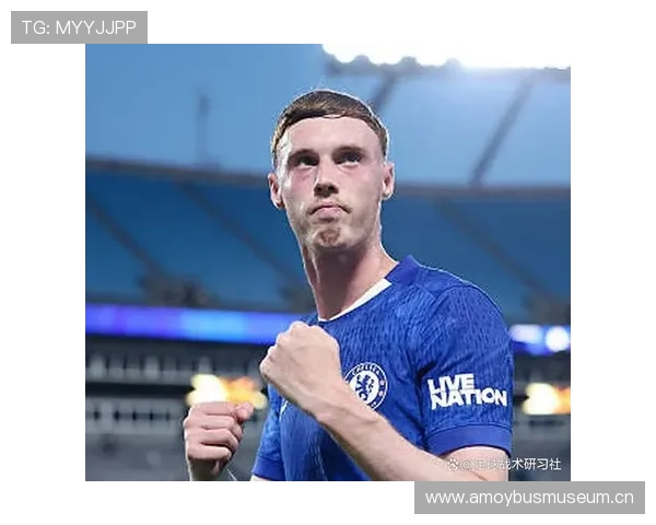 帕尔默效率与战术角色匹配度分析