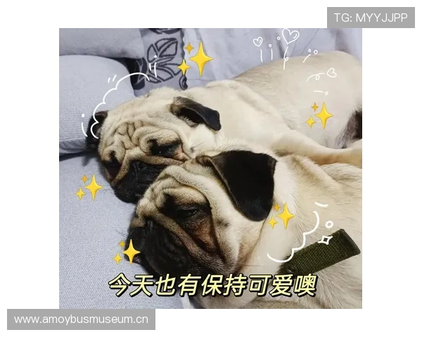 阿尔瓦雷斯训练完回家第一件事竟然不是休息，听说他连宠物都得“专业”打理？